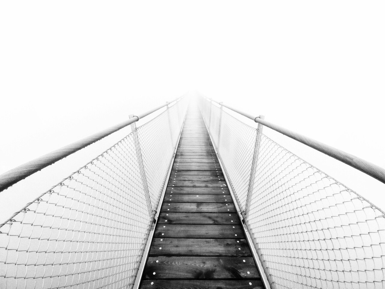 Give a shoutout to aa aa on unsplash.com